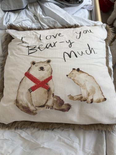 Next bear cushion - brand, new