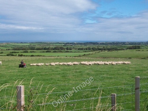Photo 6x4 one man and - 6x4, quad