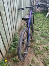 Trek Roscoe  mint condition