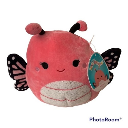 Andreina butterfly - 8",