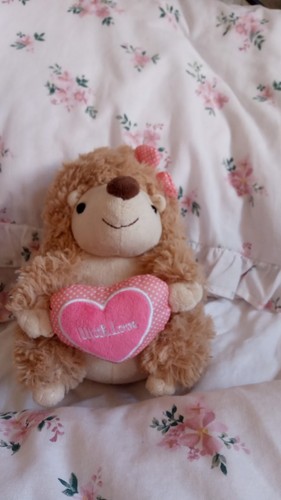 Plush hedgehog toy with heart