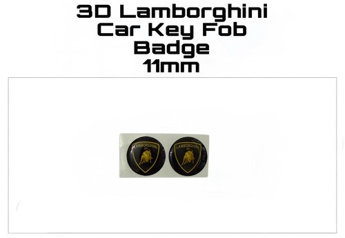 Lamborghini car key fob - key,