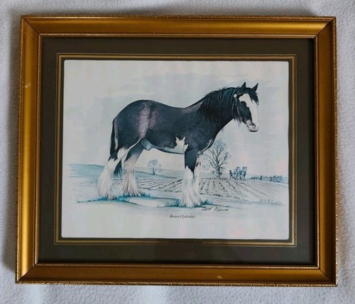 Carol connor brown - o'connor, "brown