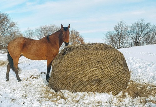 Large bale net hay - large,