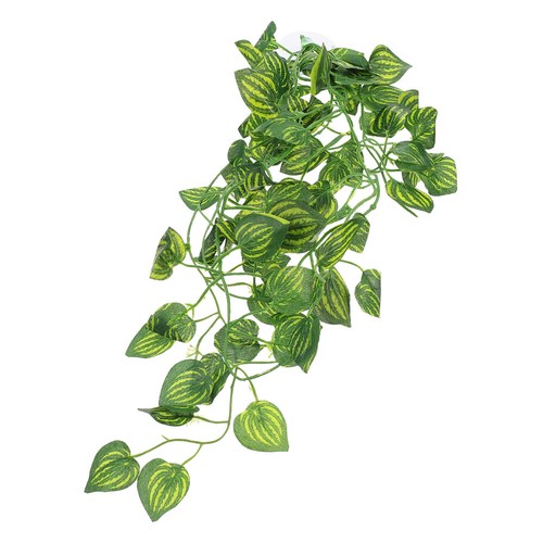 Snake climbing accessories - climbing,
