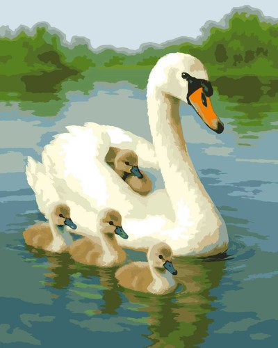 Stunning swan cygnets paint - &,