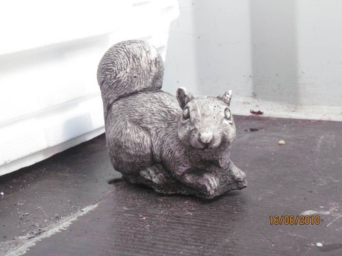 Grey squirrel statue - squirrel,