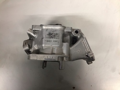 Senior rotax max - senior, evo
