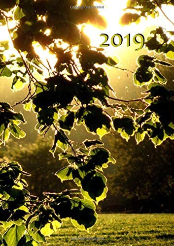 Big fat calendar - my,