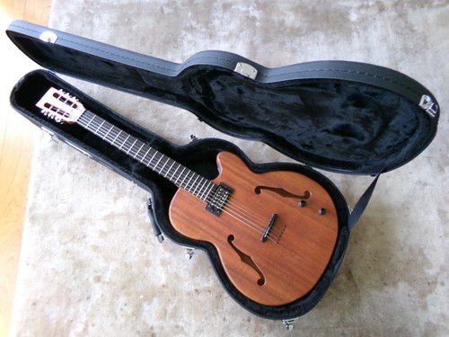 Halo custom jazz guitar inc