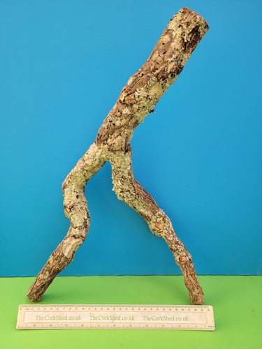 Cork bark branch 48cm - bark,