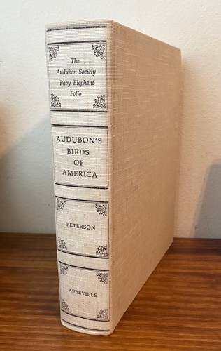 Birds america audubon - audubon, baby