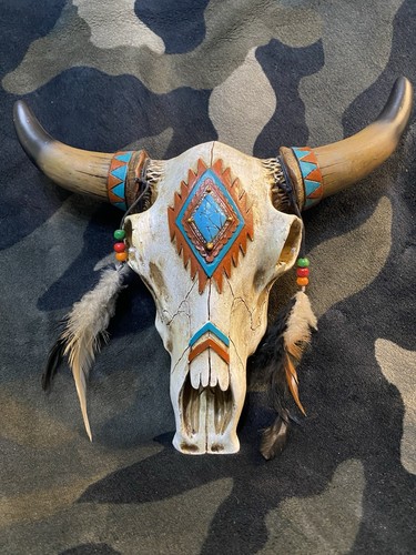 Bison skull and - bison,