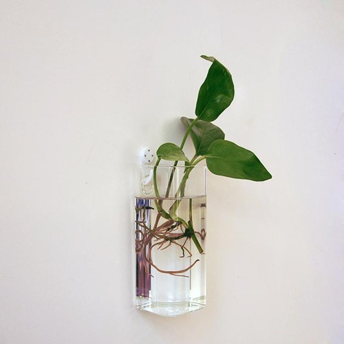 Clear glass rectangle flower - glass,