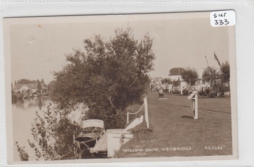 Weybridge surrey willow - surrey,