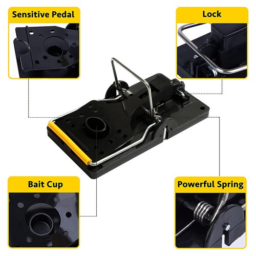 Pack large rat traps heavy - pack,