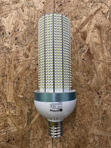 Prima led cob light - prima,