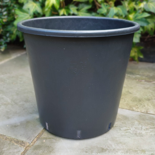 25l plant pots heavy - plant,