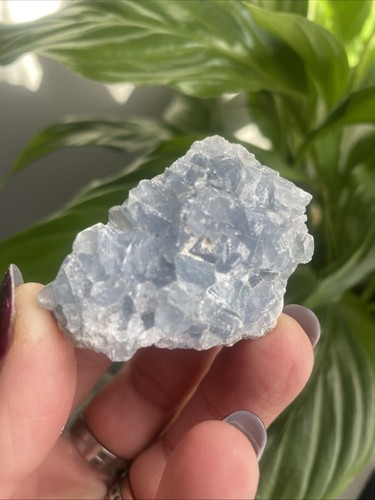 Celestite small cluster - small, geode