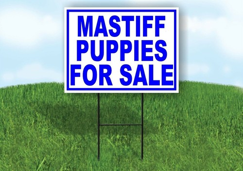 Mastiff puppies for sale blue - puppies,