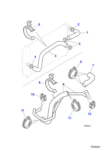 Jaguar bottom hose - jaguar, xk8