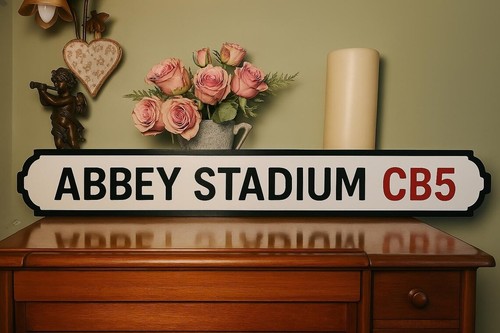 Abbey stadium faux cast - abbey,