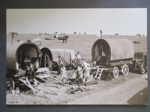 Postcard romany gypsy life - postcard,