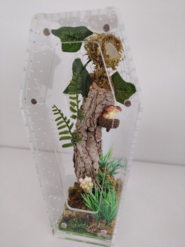 Handmade jumping spider - handmade,