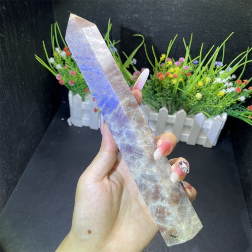 1lb natural blue moon - 8.9",