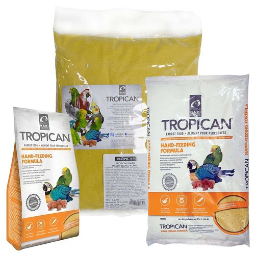 Hari tropican hand feeding - hand,
