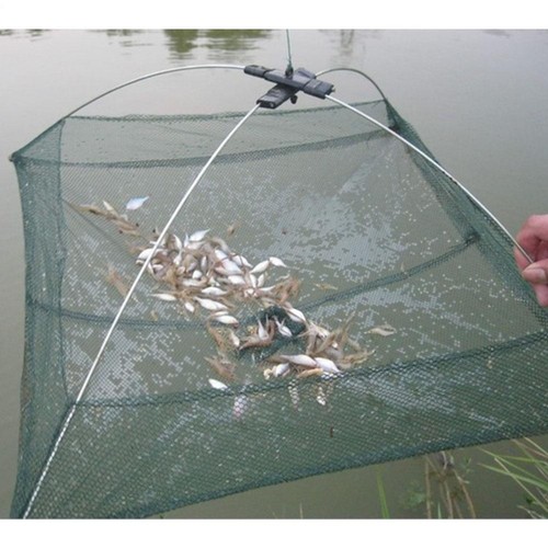 Fishing bait trap crab - fishing, net