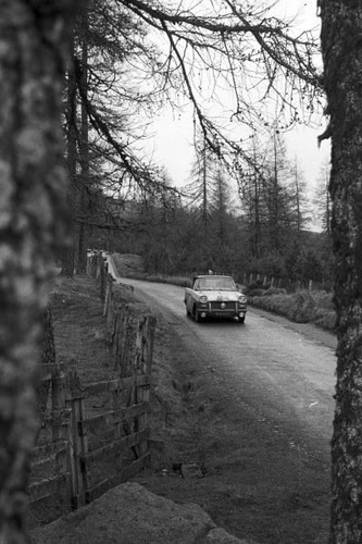 Triumph herald rally car 1960 - car,
