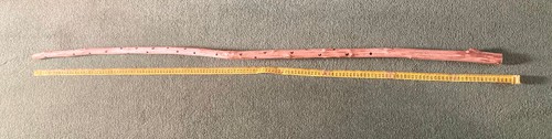 Hazel wood walking stick - wood,