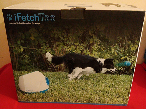 Ifetch too automatic ball - ifetch,