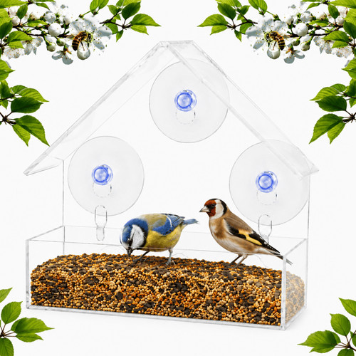 Acrylic window bird - acrylic, feeder