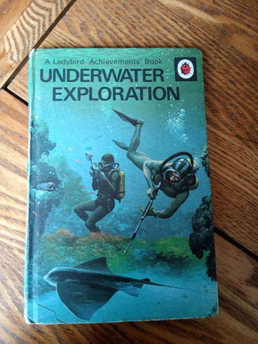 Ladybird books vintage 601 - books,