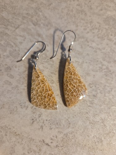 Natural fossilized coral - fossilized,