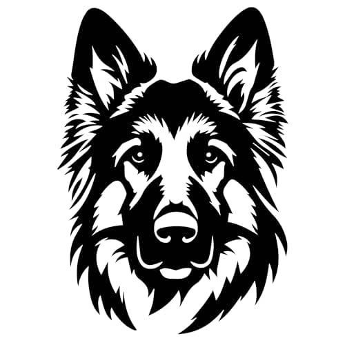 Small german shepherd - german, head