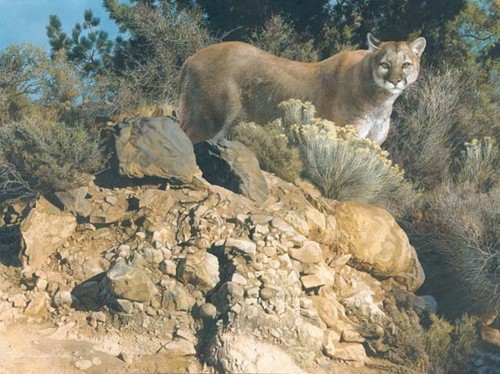 Carl brenders cliff dweller - cliff,