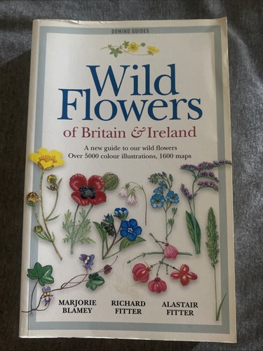 Wild flowers britain and - flowers, of