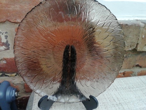 Vintage retro arcoroc french - arcoroc,