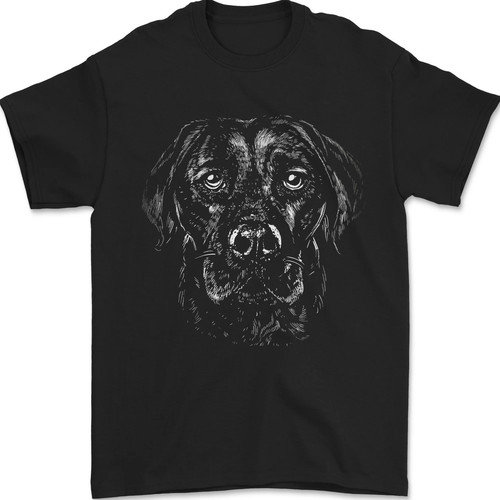 Labrador retriever dog - labrador,