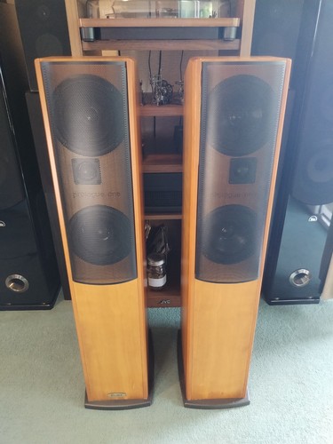 Ruark prologue one floor - prologue,