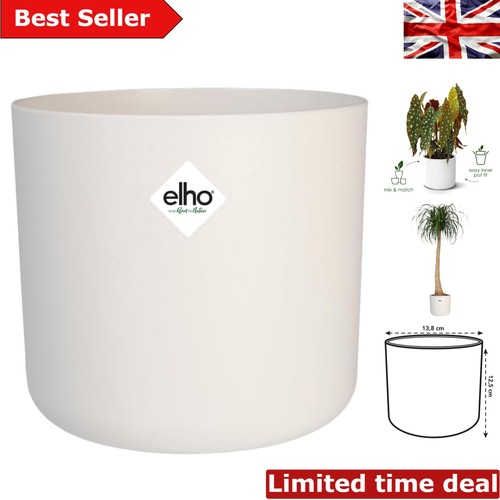 Sleek modern plant - 14, cm
