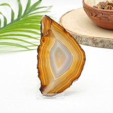 Natural Agate Slice With Stand