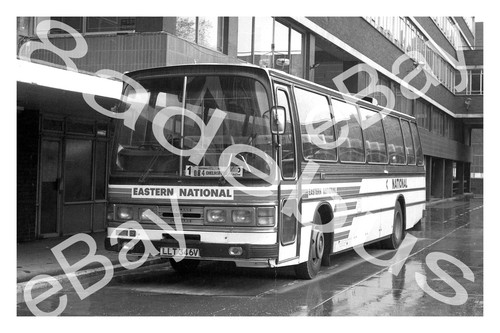 Bus photograph eastern - bus,