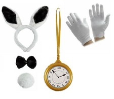 WHITE RABBIT COSTUME Hare