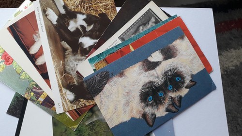 Postcards dogs cats donkeys - postcards,