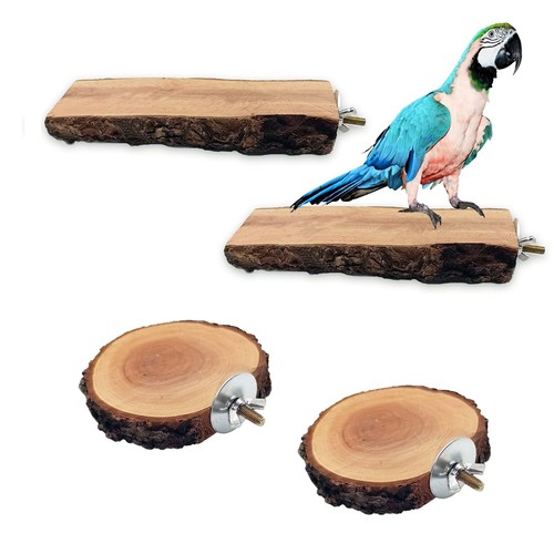 Wood bird perch - bird,