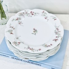 6 Haviland Co. Limoges France